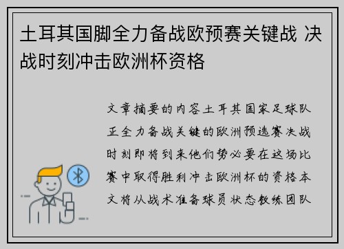 土耳其国脚全力备战欧预赛关键战 决战时刻冲击欧洲杯资格
